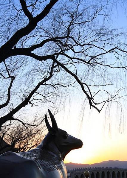 影技巧 如何使用曝光补偿与包围曝光插图5