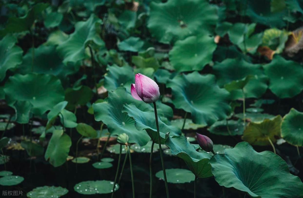 从“乱拍”到“出片”,摄影人的秘密全公开!插图3 从“乱拍”到“出片”,摄影人的秘密全公开!插图3