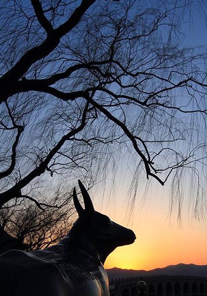 影技巧 如何使用曝光补偿与包围曝光插图4