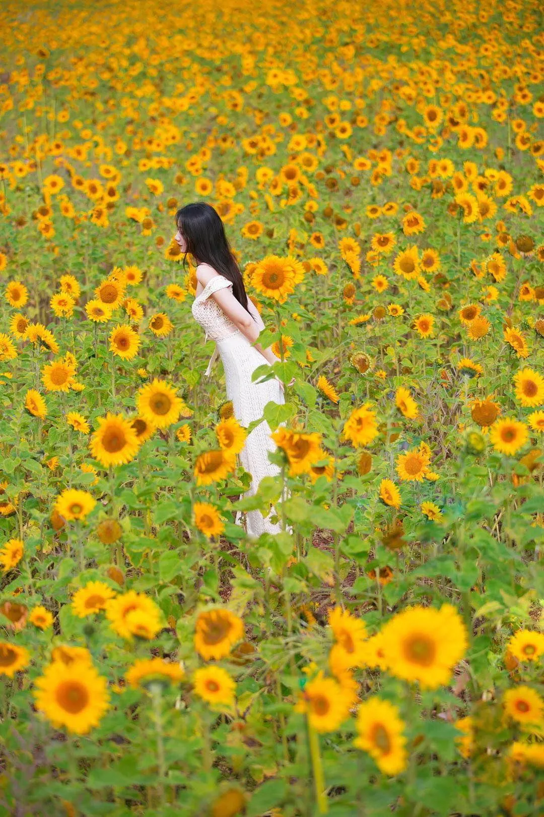 解锁花海人像拍照姿势，简单易学的7个姿势，帮你拍出高质量作品插图