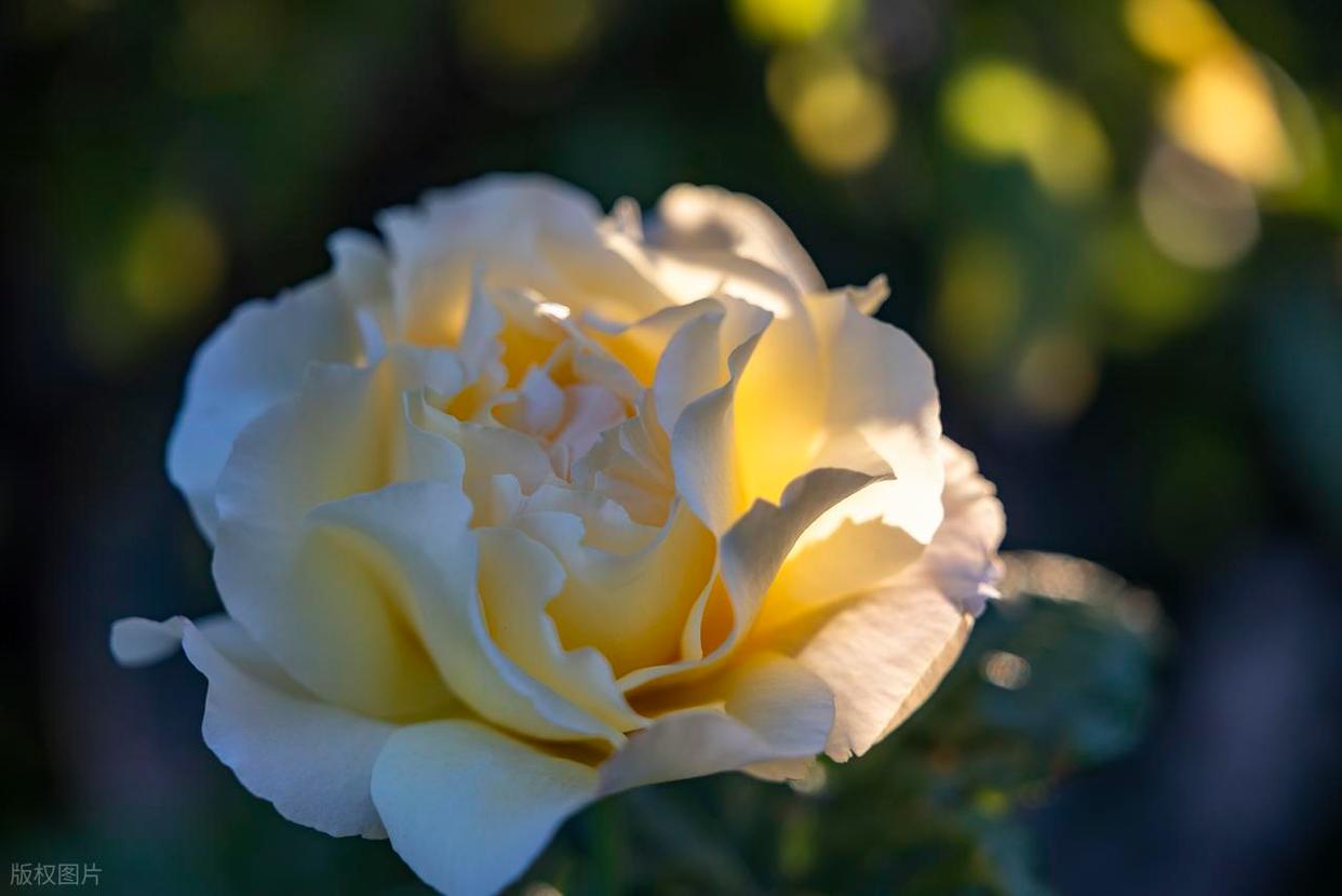 摄影小白必看！学摄影真有那么难？插图3