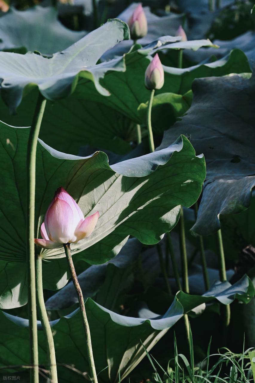 从“乱拍”到“出片”,摄影人的秘密全公开!插图2 从“乱拍”到“出片”,摄影人的秘密全公开!插图2