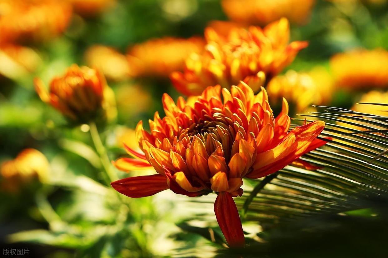 从“乱拍”到“出片”,摄影人的秘密全公开!插图5 从“乱拍”到“出片”,摄影人的秘密全公开!插图5