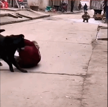 Siri学会抽烟了？插图12