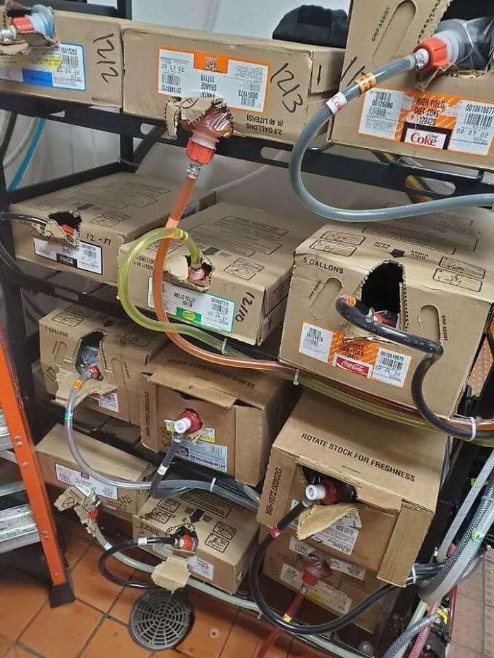 换个角度看世界：这16张罕见照片，每一张带你解锁事物的另一面！插图1