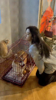 丧尸大片之《釜山行 不通》！插图9