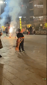 丧尸大片之《釜山行 不通》！插图2