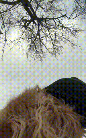 丧尸大片之《釜山行 不通》！插图4