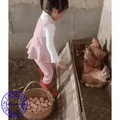 4S店销冠是怎样练成的？插图12