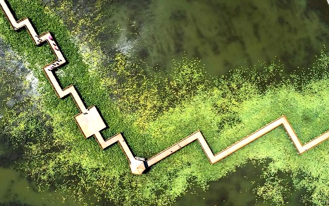 20个令人惊叹的空中景观：换个角度看世界，发现别样之美插图10