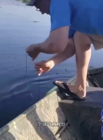 丧尸大片之《釜山行 不通》！插图12