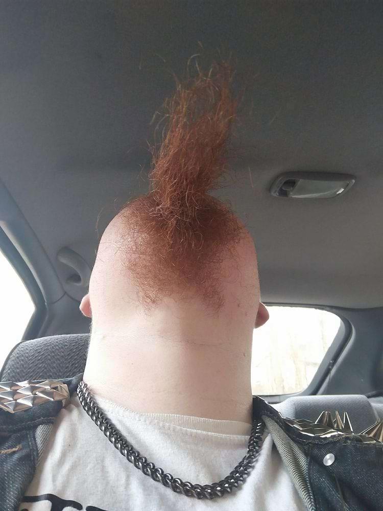 换个角度看世界：这16张罕见照片，每一张带你解锁事物的另一面！插图15