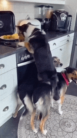 丧尸大片之《釜山行 不通》！插图13