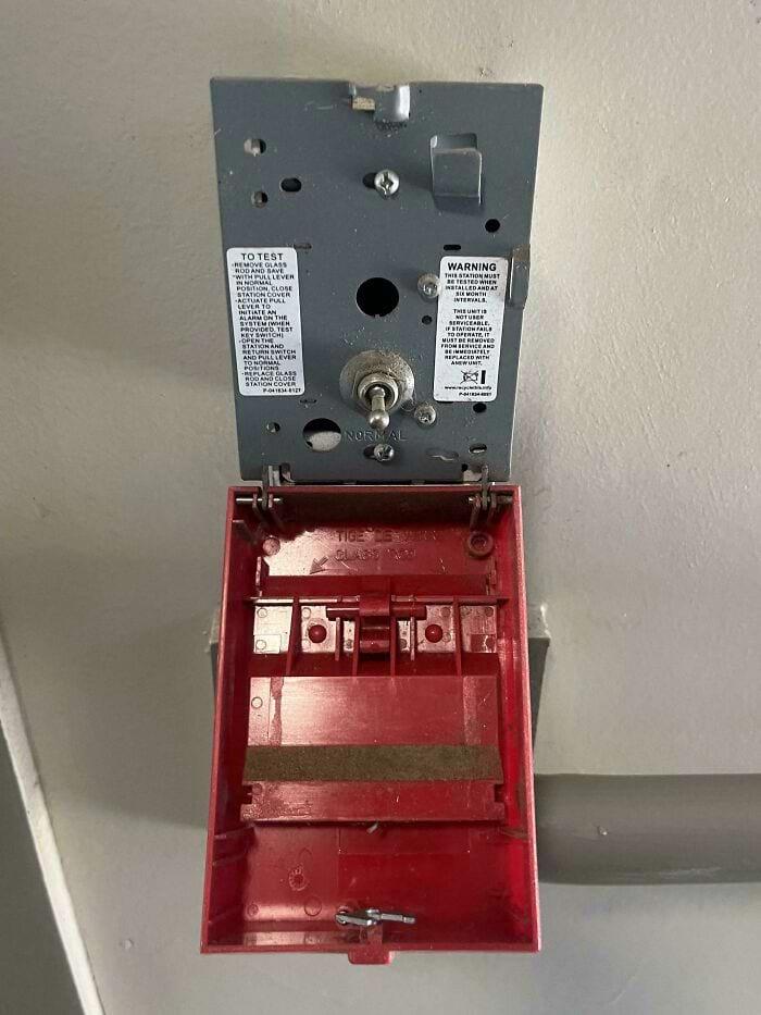 换个角度看世界：这16张罕见照片，每一张带你解锁事物的另一面！插图3