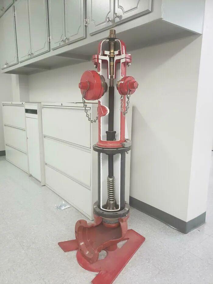 21个被切开的日用品，内部构造比你想的还精彩插图1