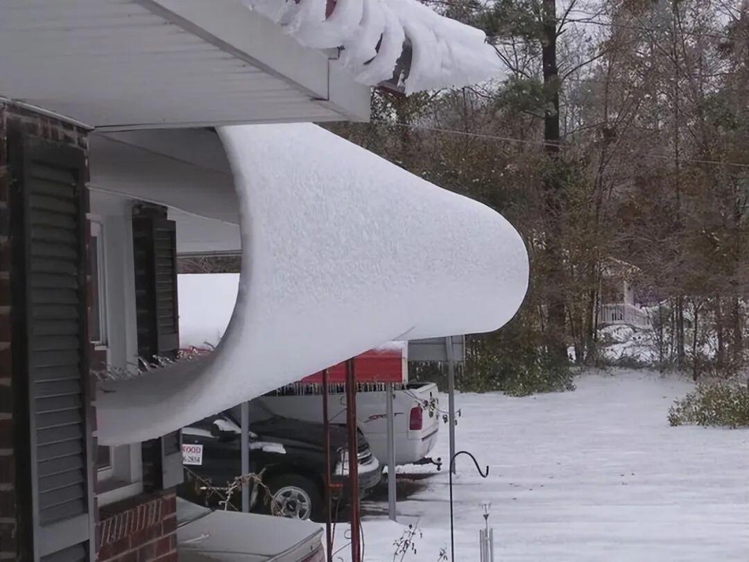 罕见瞬间捕捉：21张让你大开眼界的图片插图15