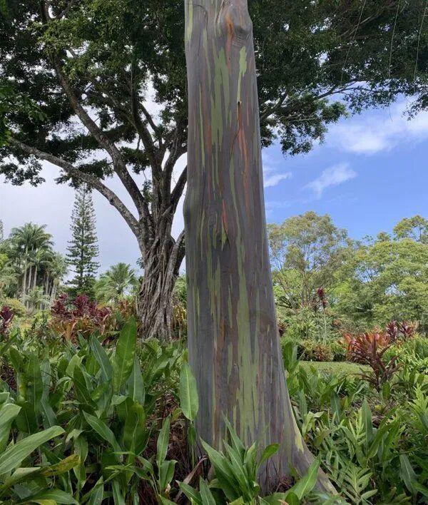 罕见瞬间捕捉：21张让你大开眼界的图片插图20