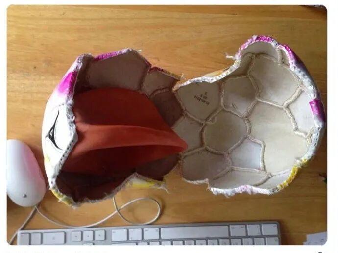 21个被切开的日用品，内部构造比你想的还精彩插图17