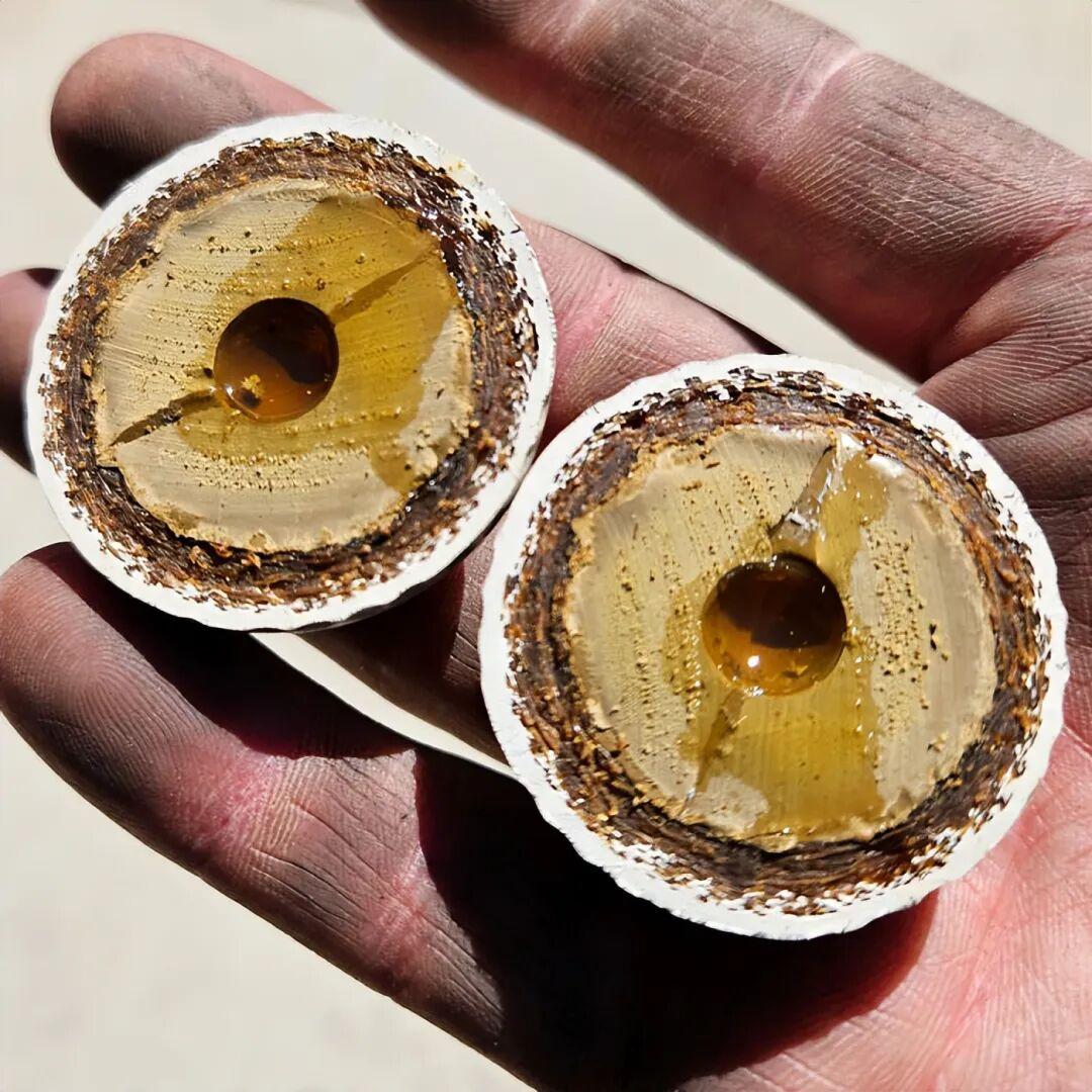 20件你想不到的物品被“开膛破肚”后，内部竟是这样！插图4