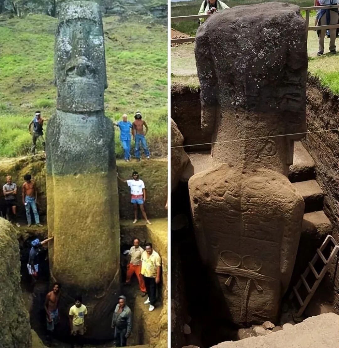 罕见瞬间捕捉：21张让你大开眼界的图片插图11