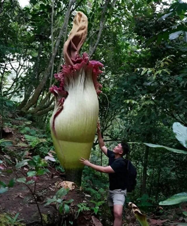 罕见瞬间捕捉：21张让你大开眼界的图片插图