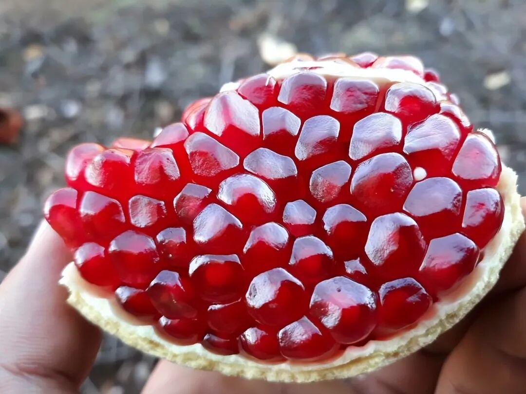 21个被切开的日用品，内部构造比你想的还精彩插图19