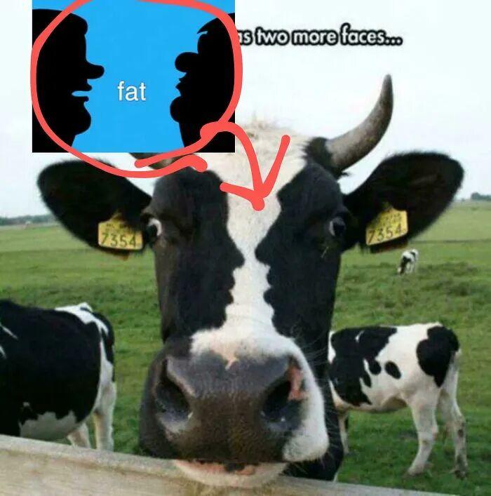 22次“视觉错乱”：你以为你看到了某个东西，但其实你没看错插图1