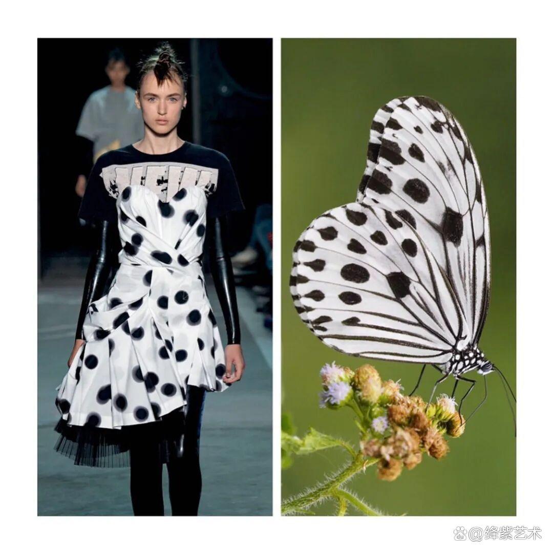 叹为观止！这20个创意服装，原型竟然是虫子、蜥蜴和蘑菇插图1