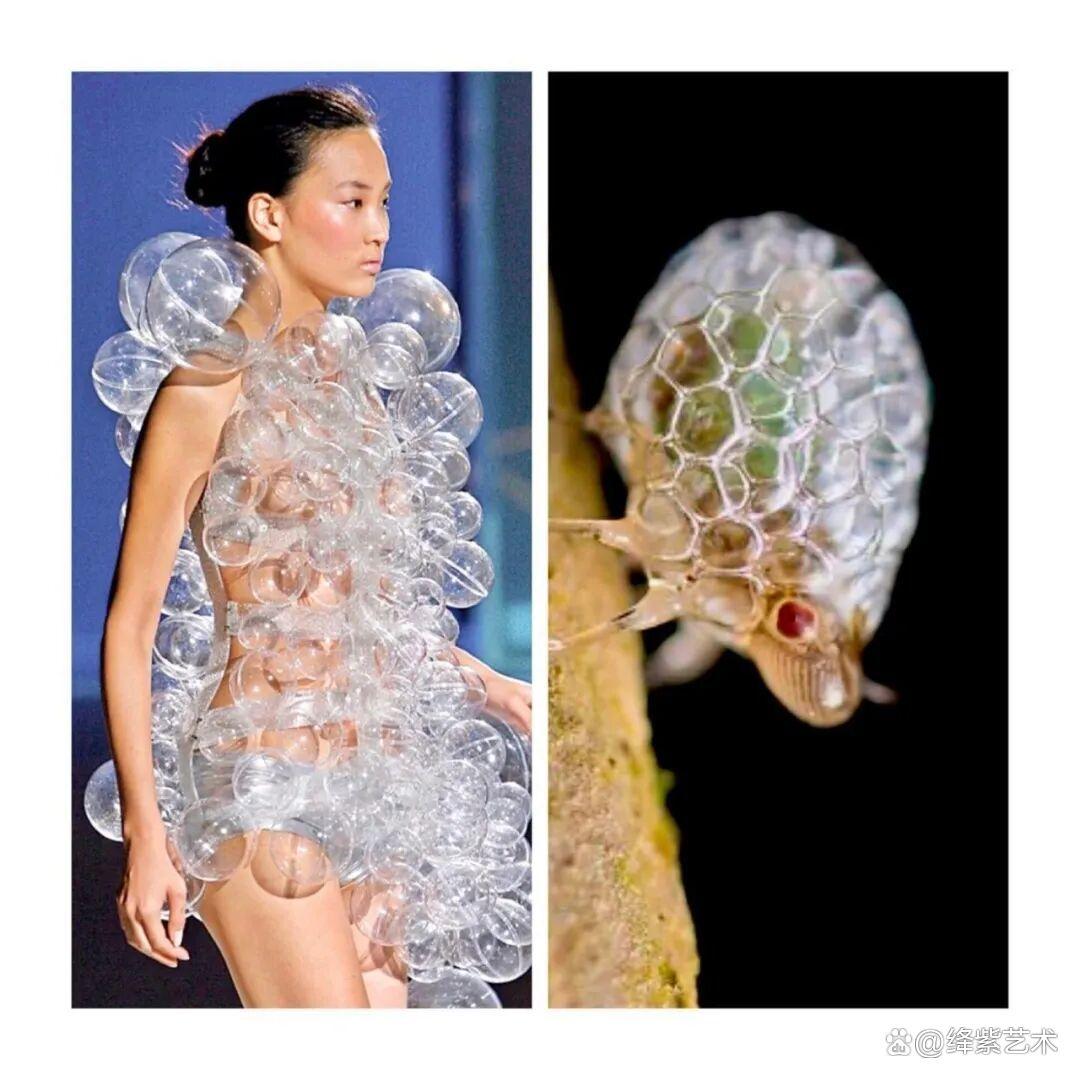 叹为观止！这20个创意服装，原型竟然是虫子、蜥蜴和蘑菇插图14
