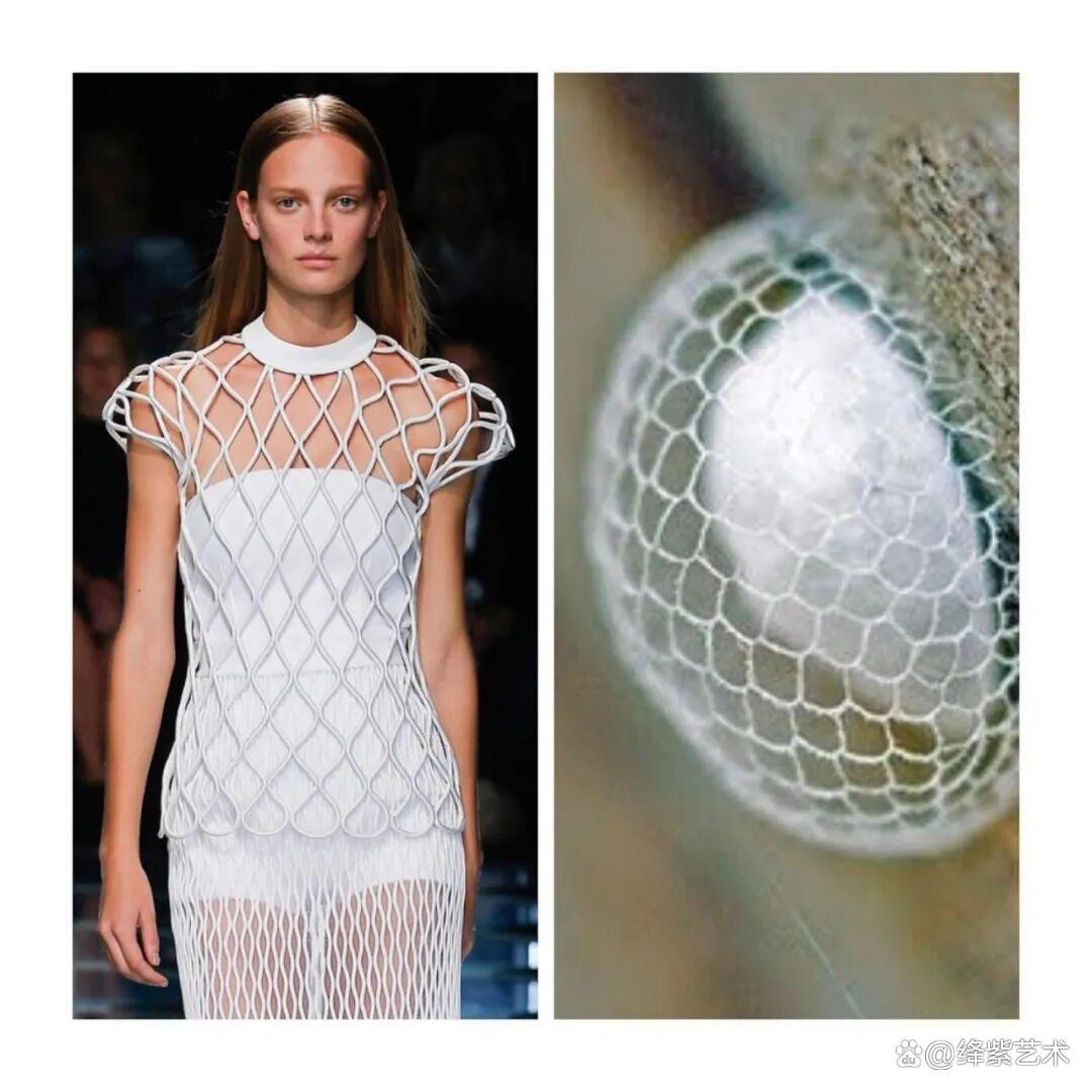 叹为观止！这20个创意服装，原型竟然是虫子、蜥蜴和蘑菇插图19