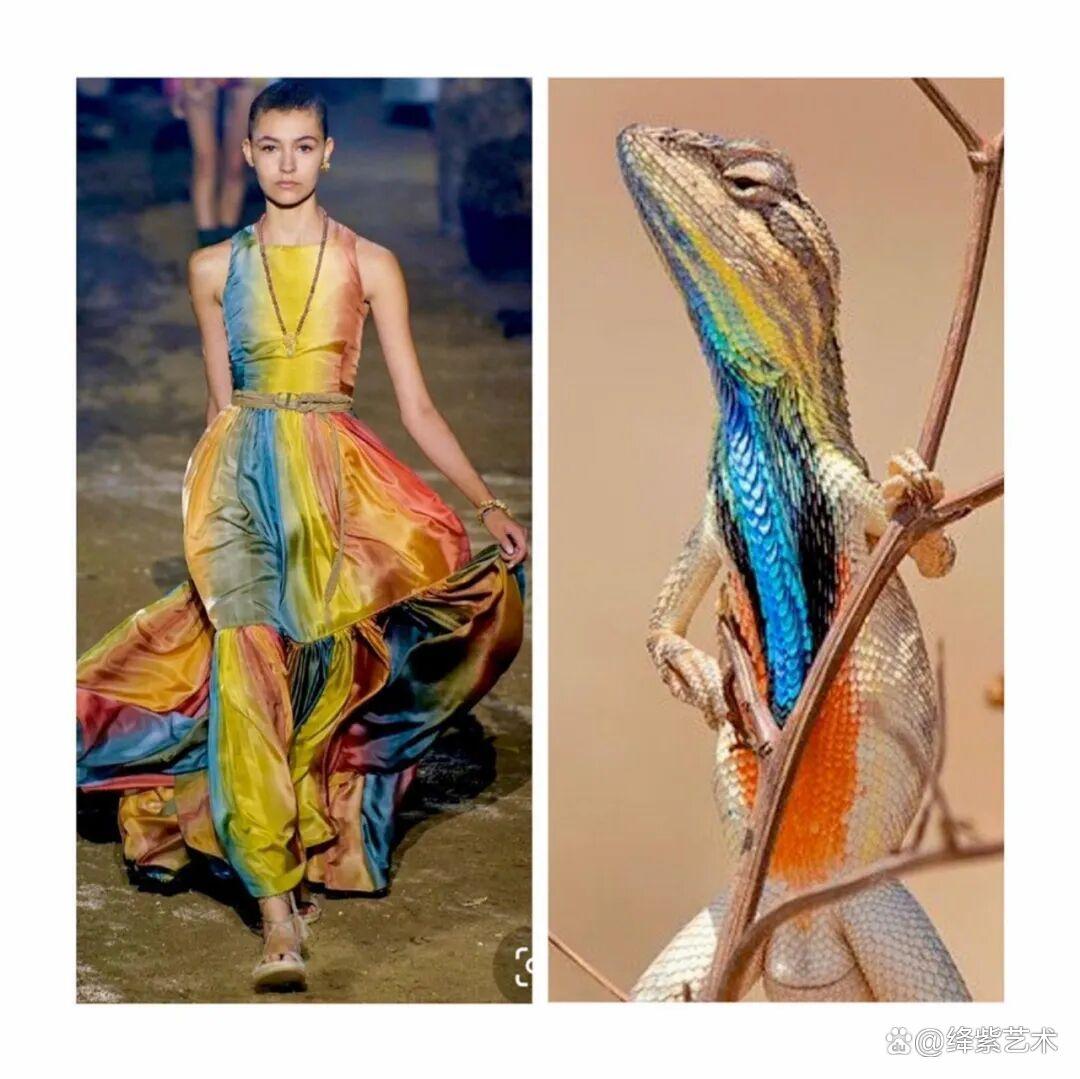 叹为观止！这20个创意服装，原型竟然是虫子、蜥蜴和蘑菇插图9