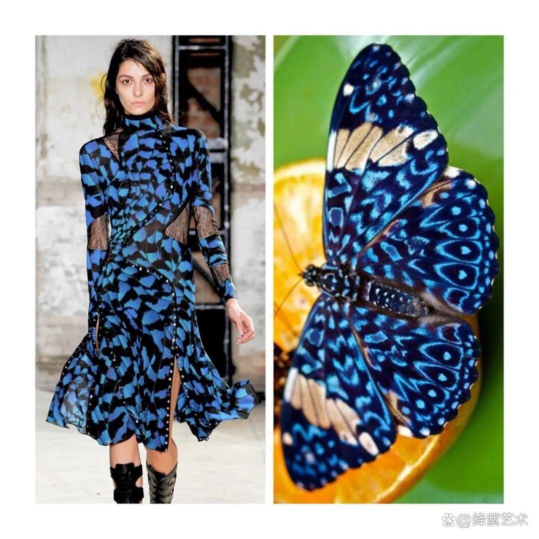叹为观止！这20个创意服装，原型竟然是虫子、蜥蜴和蘑菇插图11