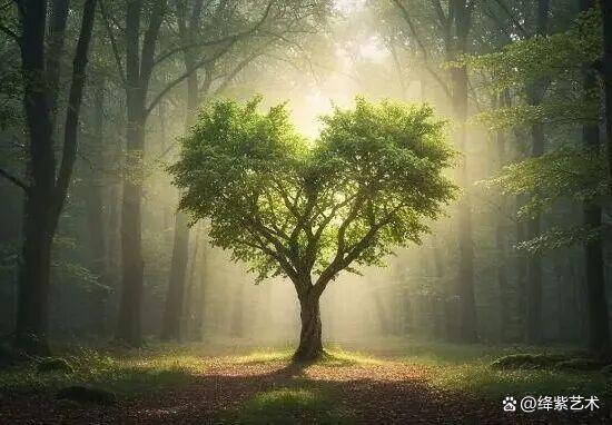 叹为观止！16个大自然造就的艺术，美得仿佛被精心设计过插图1