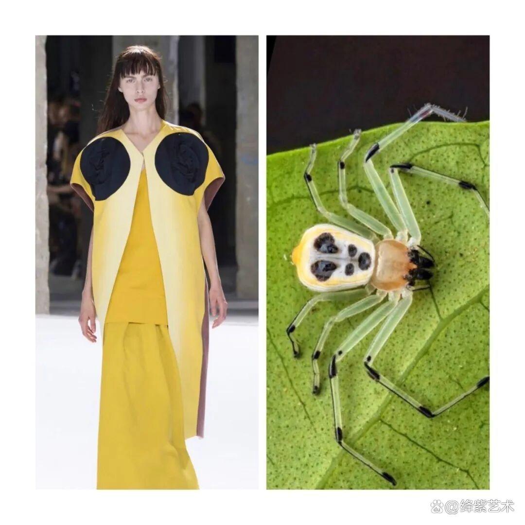 叹为观止！这20个创意服装，原型竟然是虫子、蜥蜴和蘑菇插图20