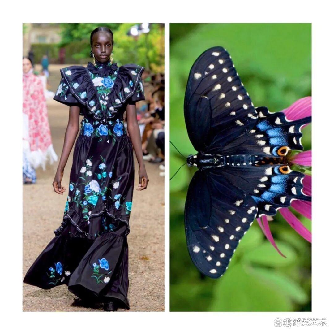 叹为观止！这20个创意服装，原型竟然是虫子、蜥蜴和蘑菇插图5