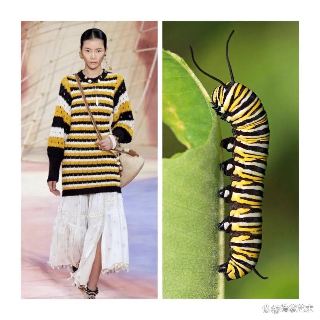 叹为观止！这20个创意服装，原型竟然是虫子、蜥蜴和蘑菇插图2