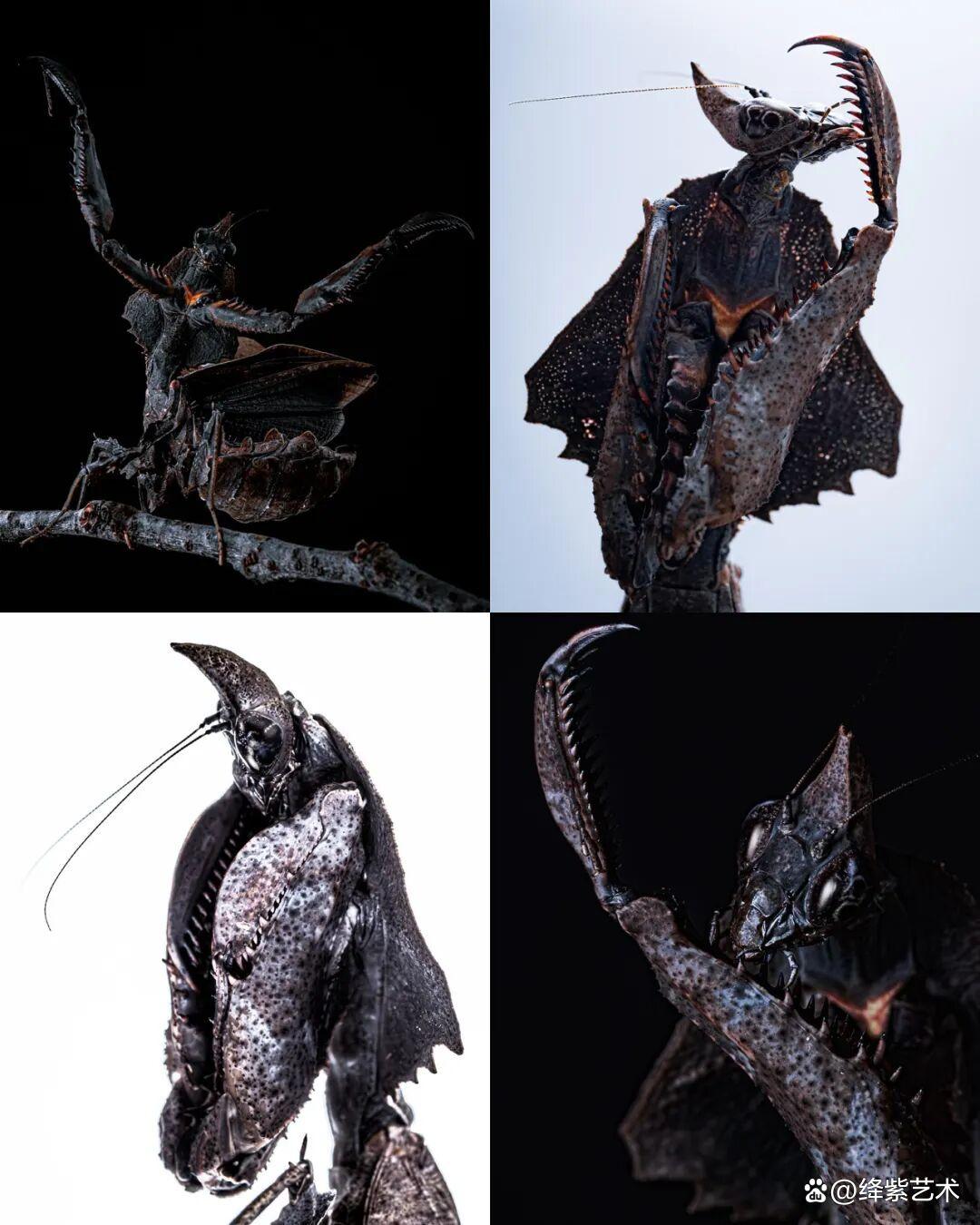 看之前，不就是一只螳螂吗？看之后，天使与恶魔的化身插图20