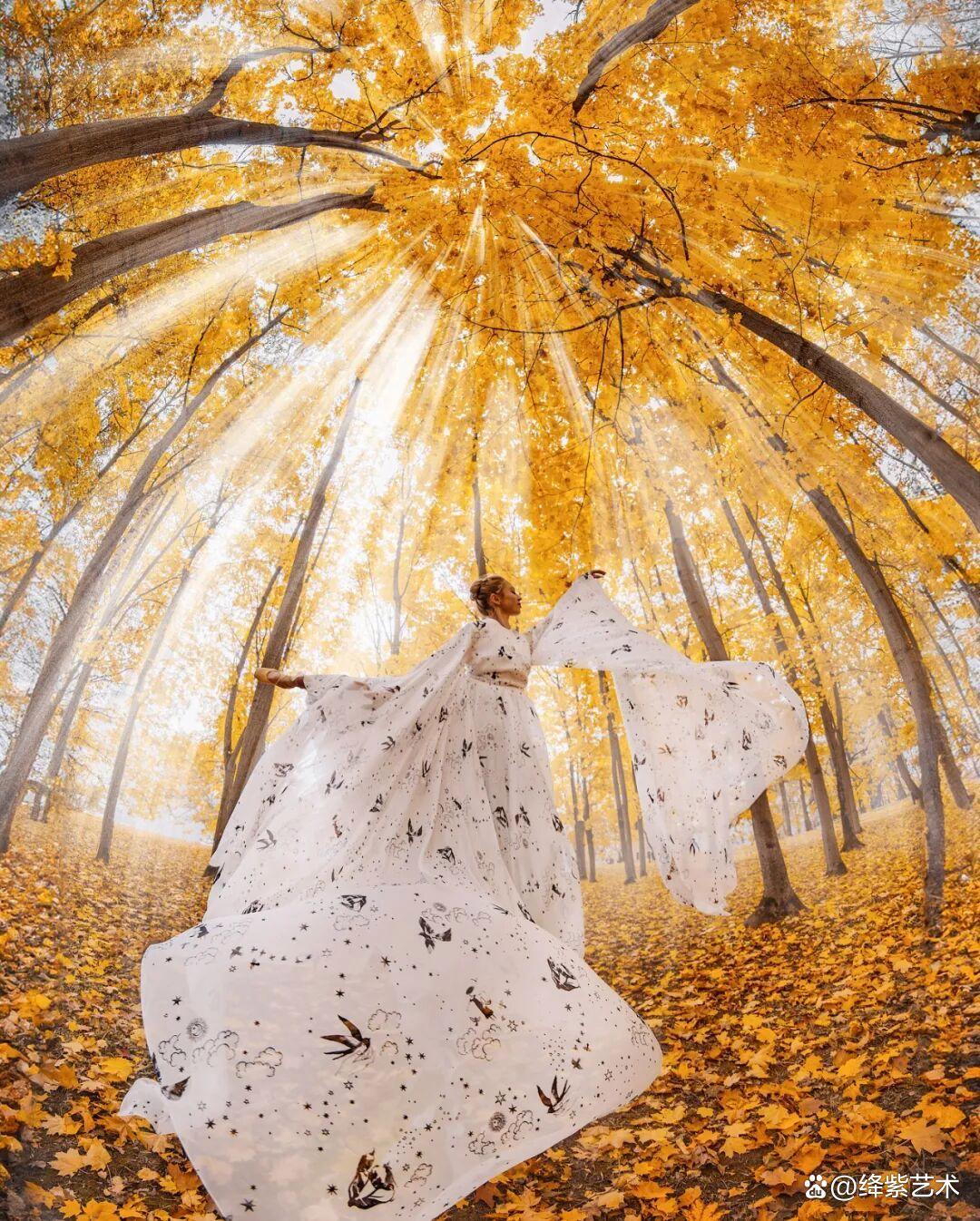 因为太华丽,她的摄影作品被质疑是AI绘画,不知该高兴还是难过插图10 因为太华丽,她的摄影作品被质疑是AI绘画,不知该高兴还是难过插图10