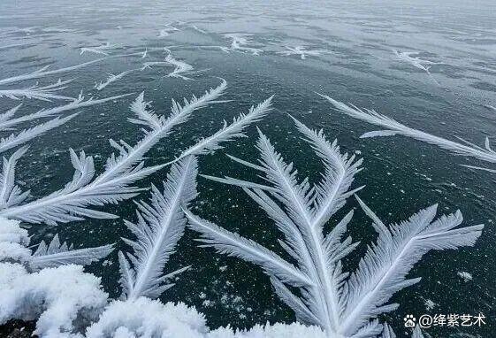 叹为观止！16个大自然造就的艺术，美得仿佛被精心设计过插图3