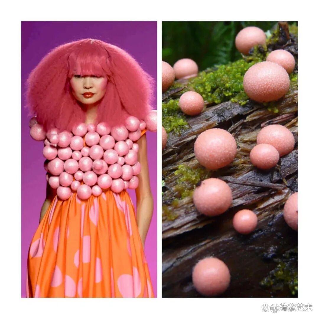 叹为观止！这20个创意服装，原型竟然是虫子、蜥蜴和蘑菇插图15