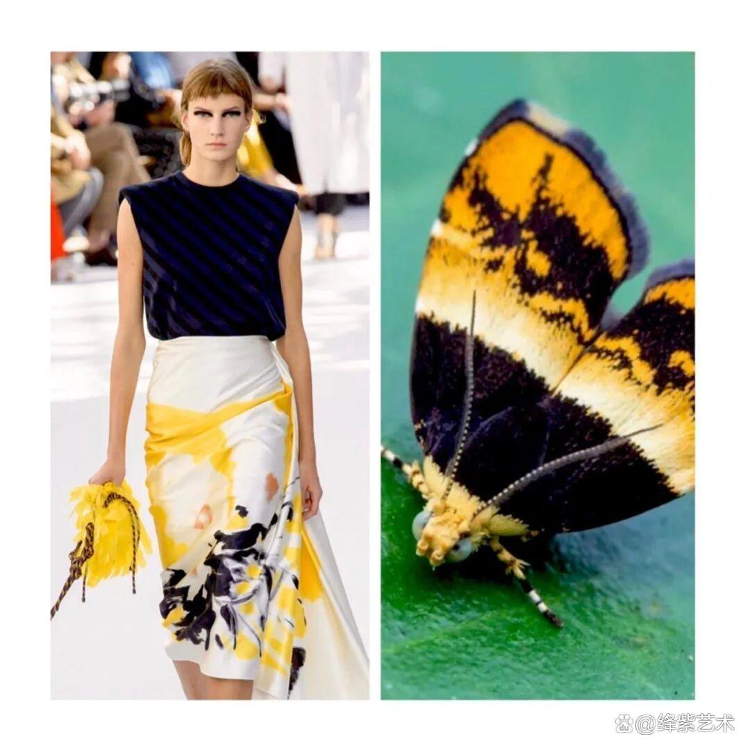叹为观止！这20个创意服装，原型竟然是虫子、蜥蜴和蘑菇插图10