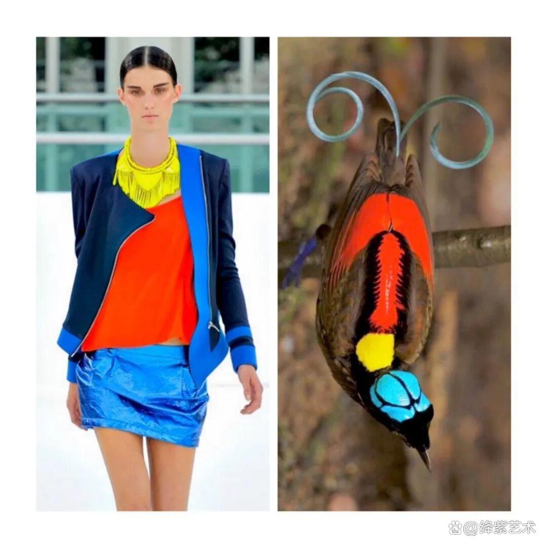 叹为观止！这20个创意服装，原型竟然是虫子、蜥蜴和蘑菇插图13