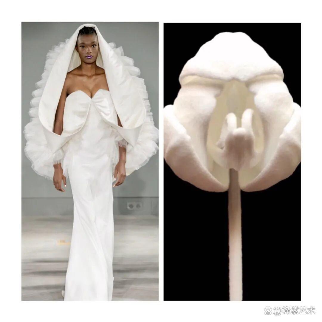 叹为观止！这20个创意服装，原型竟然是虫子、蜥蜴和蘑菇插图12