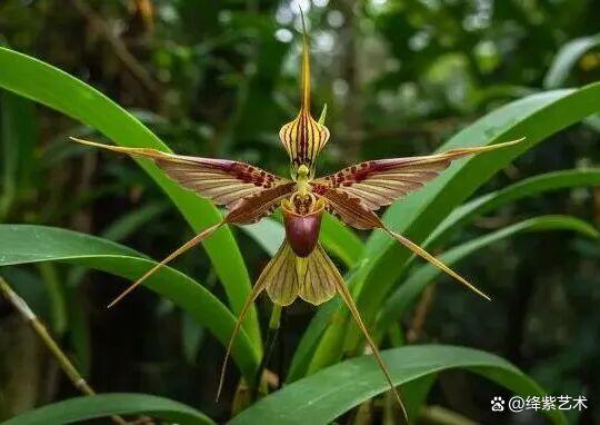 叹为观止！16个大自然造就的艺术，美得仿佛被精心设计过插图8