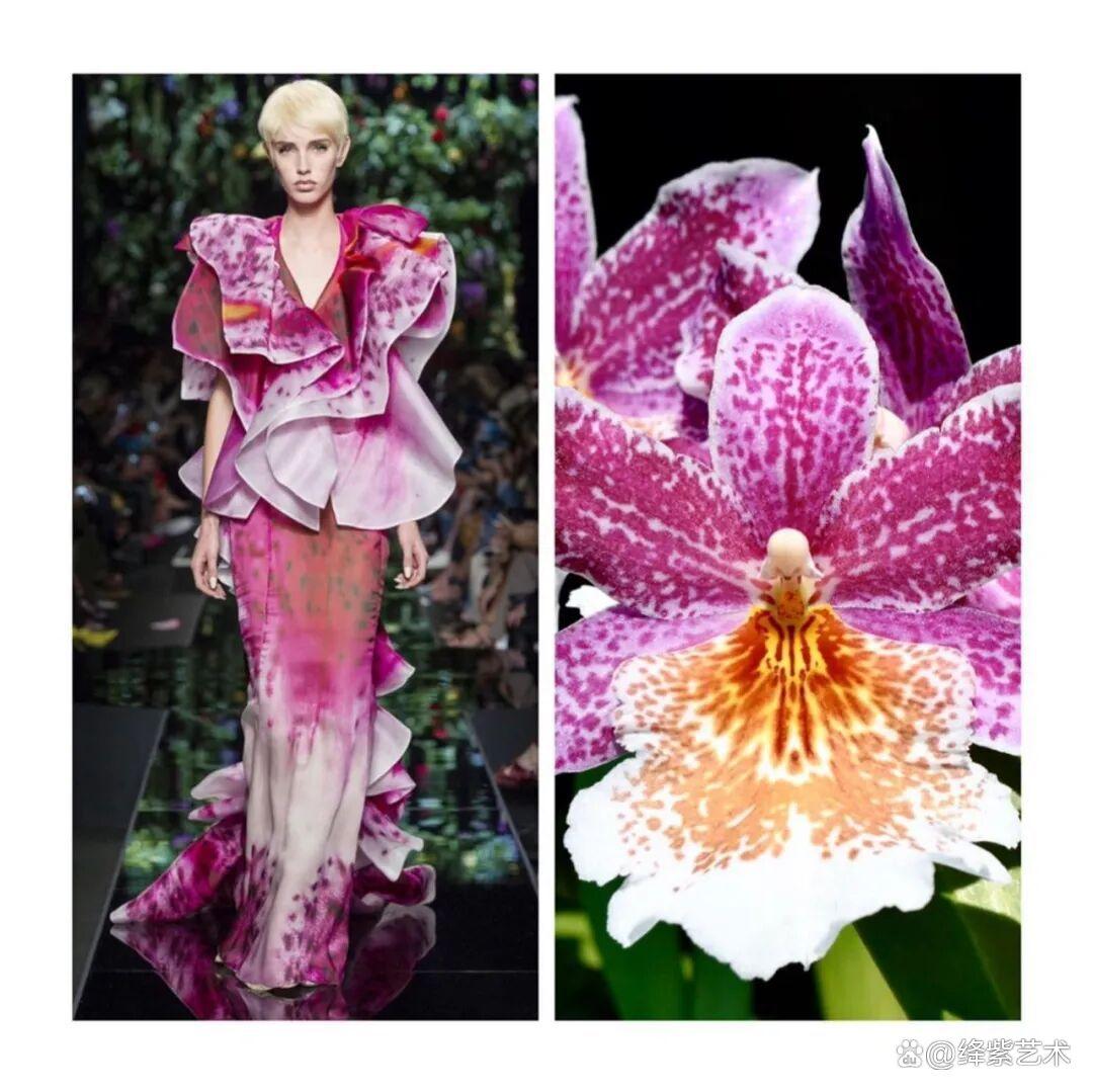 叹为观止！这20个创意服装，原型竟然是虫子、蜥蜴和蘑菇插图7