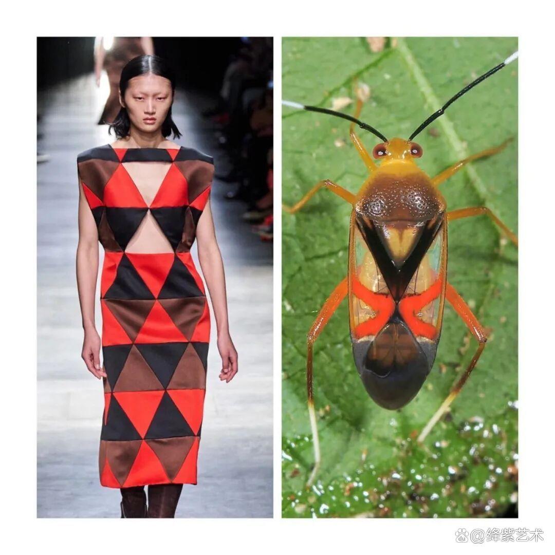 叹为观止！这20个创意服装，原型竟然是虫子、蜥蜴和蘑菇插图17