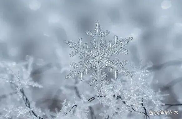 叹为观止！16个大自然造就的艺术，美得仿佛被精心设计过插图16