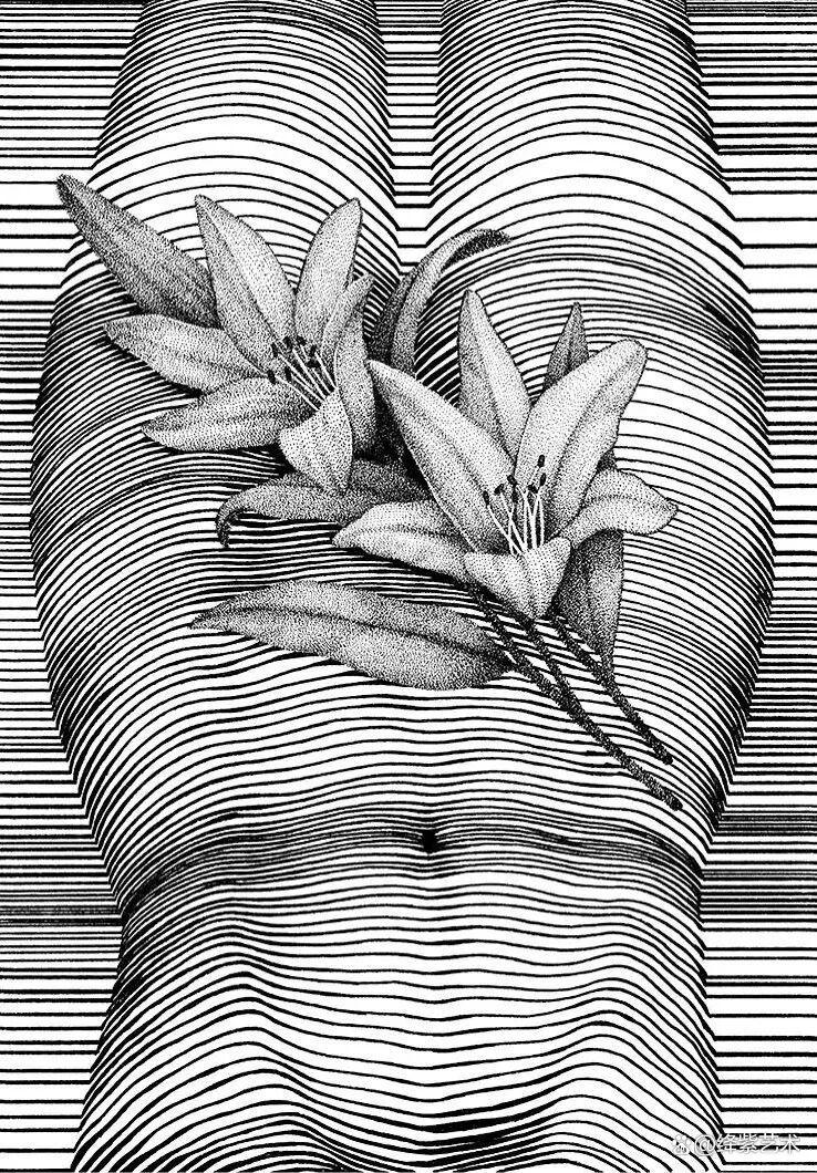 这位“条形码”画家，用粗细不一的线，勾勒姓感的女性躯体插图9