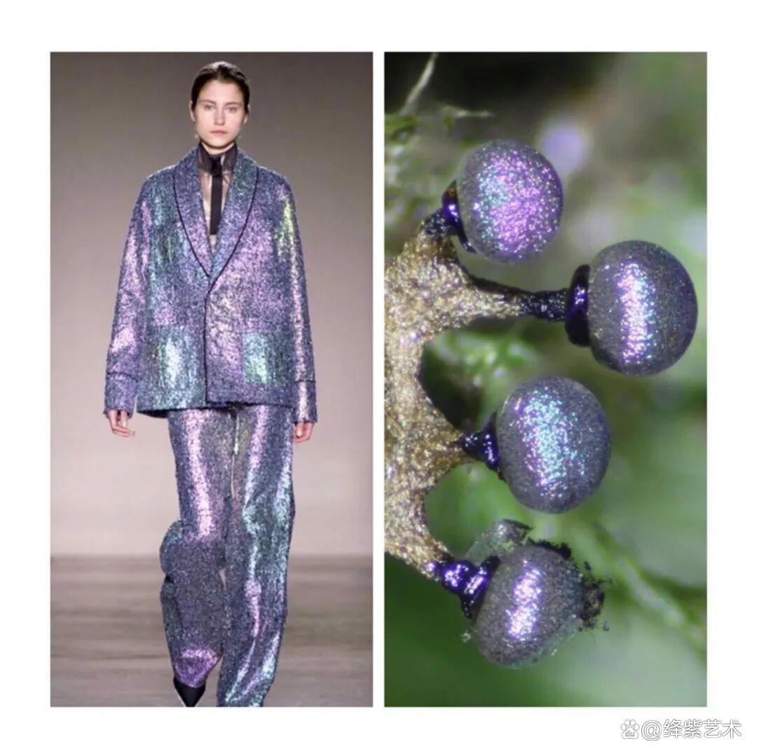 叹为观止！这20个创意服装，原型竟然是虫子、蜥蜴和蘑菇插图6