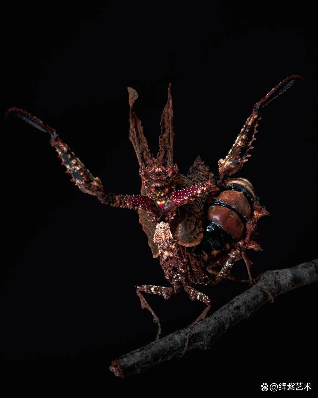 看之前，不就是一只螳螂吗？看之后，天使与恶魔的化身插图19